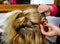 Hair dresser hands make curls with curling tongs close up photo