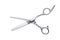 hair dressing scissors