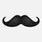 Hair mustaches icon on white background. Vector illustration.