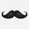 Hair mustaches icon on white background. Vector illustration.