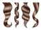 Hair realistic. Luxury blonde and brown lush hairs highlights decent vector curly templates set