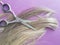 Hair scissors background hairdressing concept wig, hairdressing