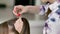 Hair stylist makes a young beautiful caucasian brunette`s hairstyle