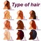 Hair types chart displaying all types and labeled
