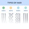 Hair types chart set of strands growth patterns