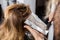 Hairdresser Applying Dye On Customer\'s Hair In Salon