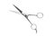 Hairdresser or barber silver professional scissors