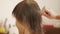 Hairdresser combing, parting woman`s wet hair for haircut