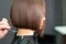 Hairdresser combs brunette short hair