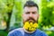Hairdresser concept. Bearded man with dandelion flowers in beard, close up. Man with beard and mustache on strict face