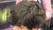 Hairdresser cuts hairs with clipper on man`s head. Top view, stylist`s hands close-up.