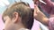 Hairdresser cuts hairs with scissors on boy`s head. Back view, stylist`s hands close-up.