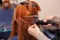 The hairdresser does hair extensions to a young, red-haired girl, in a beauty salon