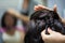 Hairdresser making a braid