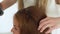 Hairdresser making volume hairstyle and fixing with hair spray in beauty salon close up. Hairstylist doing hairdo with