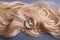 Hairdresser professional thinning scissors or shears with blonde curly hair on grey background. Beauty salon. Hair extensions and