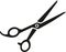 Hairdresser scissor vector