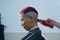 The hairdresser shaves the back of the head of a female client. Rear view of a woman with short pink hair in a