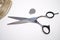 Hairdressing professional scissors made of steel