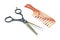 Hairdressing Scissors and comb