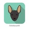 Hairless dog Xoloitzcuintli face, vector illustration