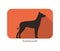 Hairless dog Xoloitzcuintli standing and watching, vector illustration