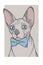 Hairless Sphynx cat with blue bowtie portrait vector graphic illustration