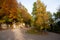Hairpin bend with autumn landscape, tarmac road