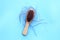 Hairs loss fall in comb on blue background