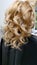 Hairstyle, curls and strands in a beauty salon. Long hair, beauty and health