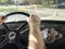 Hairy arms of senior man on classic car steering wheel