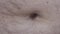 Hairy Male Navel. Extreme Close Up