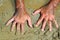 Hairy man hands on beach sand in sunny summer