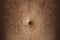 Hairy men\'s belly.