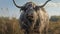 Hairy Scottish Yak in the dutch fields. AI Generative