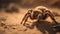 Hairy tarantula crawls on striped forest leaf generated by AI