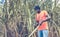 Haitian man on sugar cane plantation