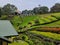 Hakgala Botanical Garden situated on the Nuwara Eliya-Badulla main road