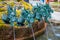 HAKONE, JAPAN - JULY 02, 2017: Close up of a fountain with a bronze dragon in Japan