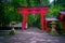 HAKONE, JAPAN - JULY 02, 2017: Red Tori Gate at Fushimi Inari Shrine in Kyoto, Japan