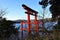 Hakone Shrine Torii Gate