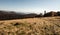 Hala na Malej Raczy with hills on the background in autumn Beskid Zywiecki mountains