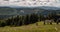 Hala Rycerzowa with hills on the background in Beskid Zywiecki mountains