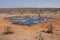 Halali Waterhole with Impalas, Kudus and Zebra, Etosha NP, Namibia