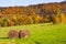 Hale bales in autumn madow