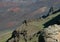 Haleakala Landscape Detail