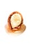 Half argan nut on isolated white background. Chopped argan nut with a drop of oil. Moroccan Argania Spinosa seed for the