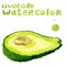 Half avocado , watercolor painting on white background