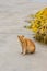 Half-blind homeless ginger cat on a pier near fishing nets. Vertical photo