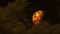 Half blood moon rise on the night sky and orange cloud moving pass